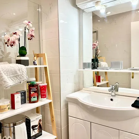 Apartament Le Gallia 2 Bedroom Refait A Neuf Center Of Cannes