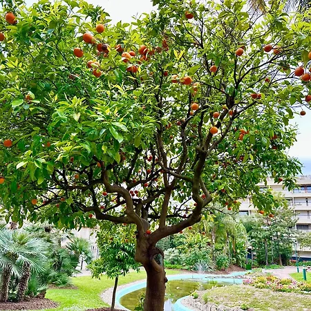 Le Gallia 2 Bedroom Refait A Neuf Center Of 戛纳