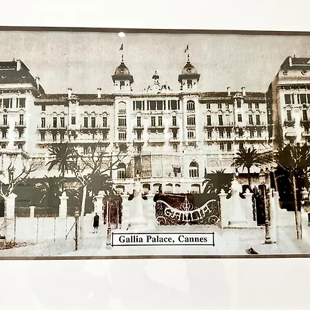 Le Gallia 2 Bedroom Refait A Neuf Center Of 公寓 *